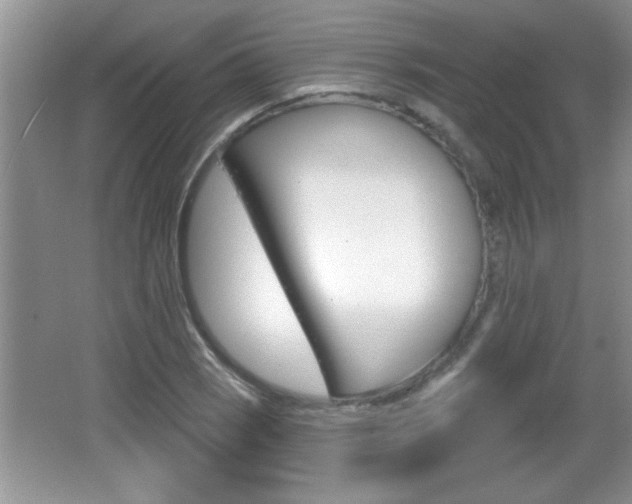 X0000065991121200603030955