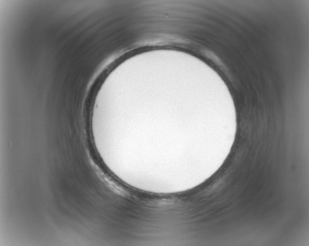 X0000065991122200603030955