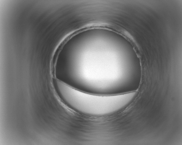 X0000065991124200603030955
