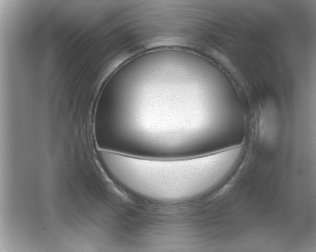 X0000065991129200603030955