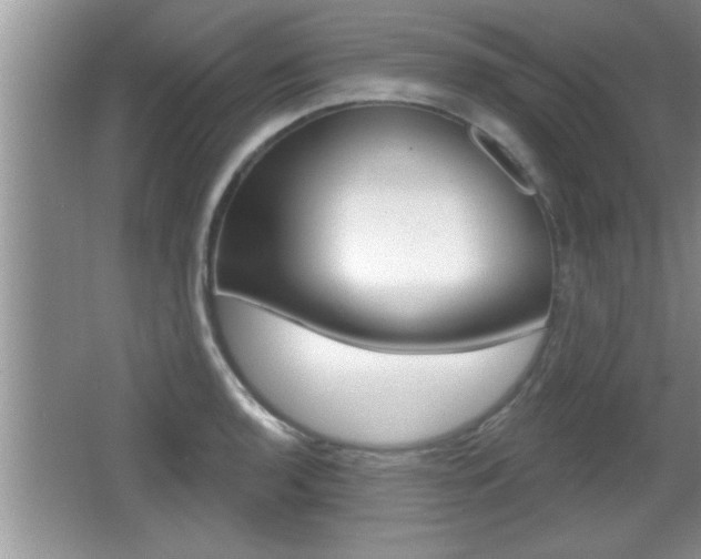 X0000065991136200603030955