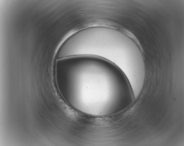 X0000065991138200603030955