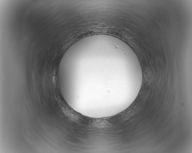 X0000065991154200603030955