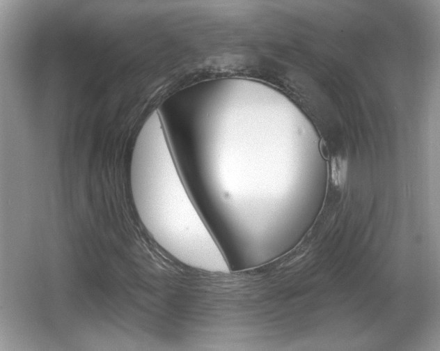 X0000065991155200603030955