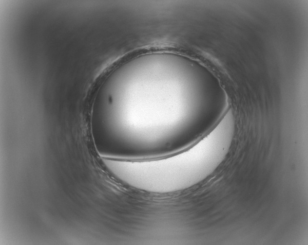 X0000065991160200603030954
