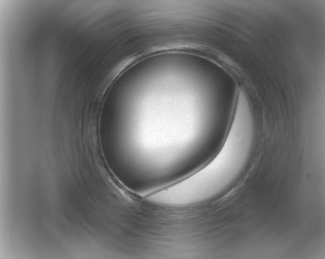 X0000065991177200603030954