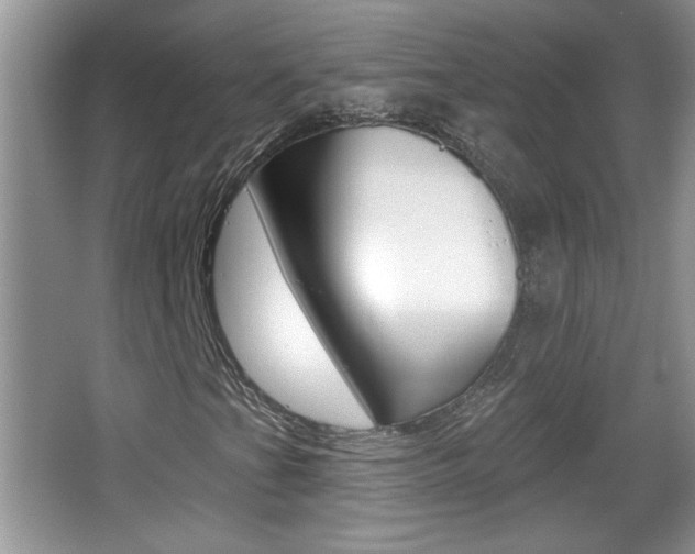 X0000065991201200603030953