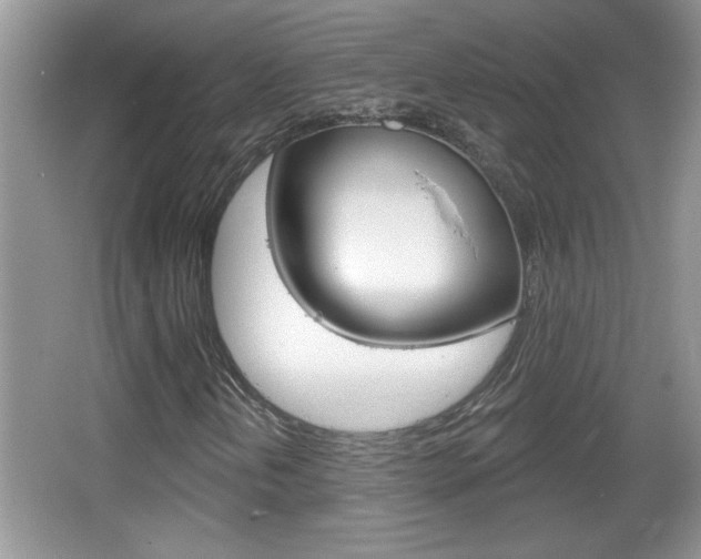 X0000065991202200603030953