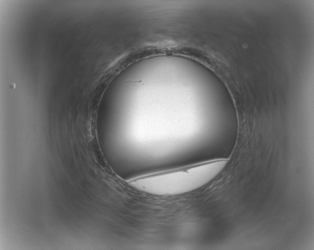 X0000065991205200603030953