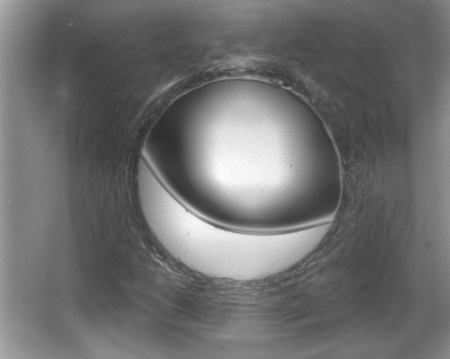 X0000065991206200603030953