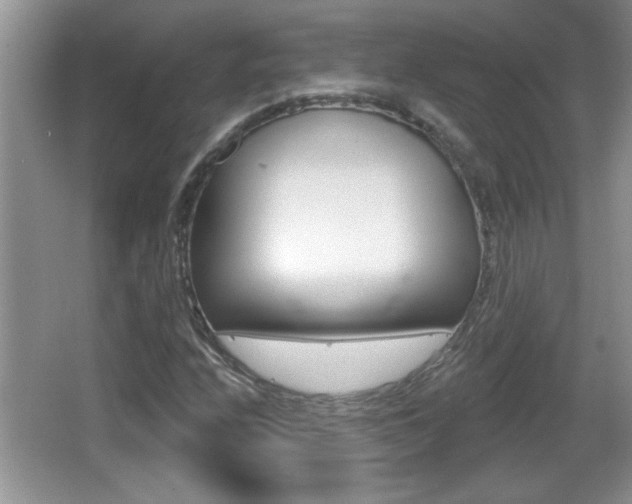 X0000065991208200603030953