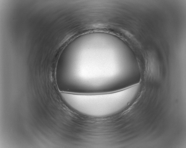 X0000065991209200603030953