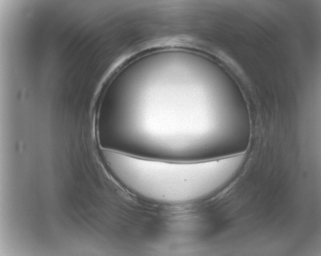 X0000065991224200603030953