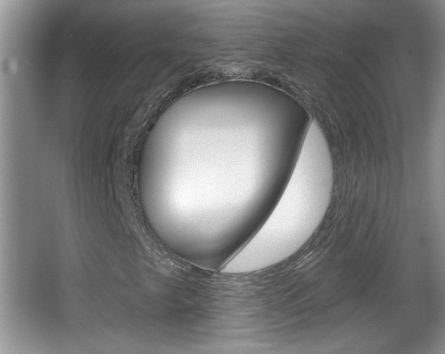 X0000065991249200603030953