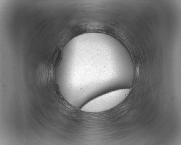 X0000065991251200603030953