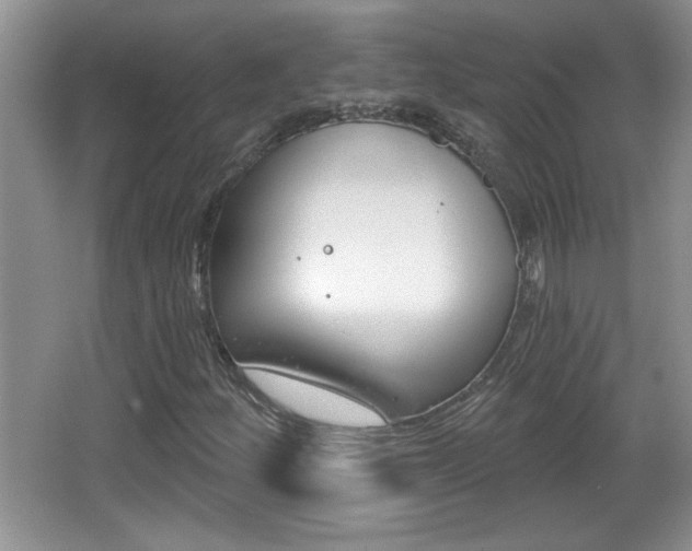X0000065991252200603030953