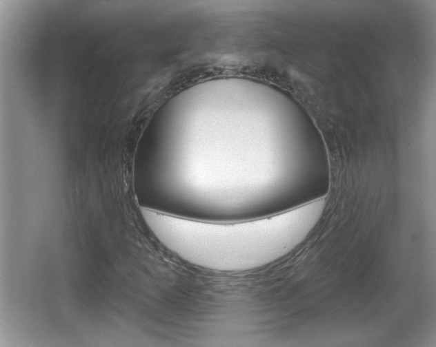 X0000065991253200603030953