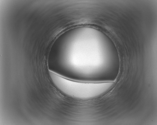 X0000065991265200603030953
