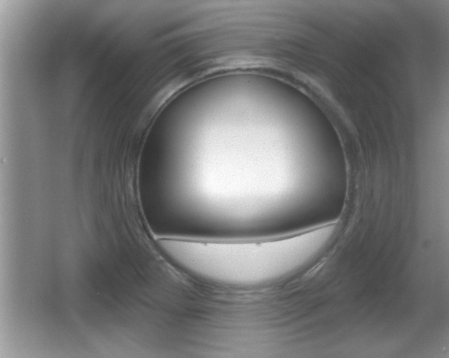 X0000065991273200603030953