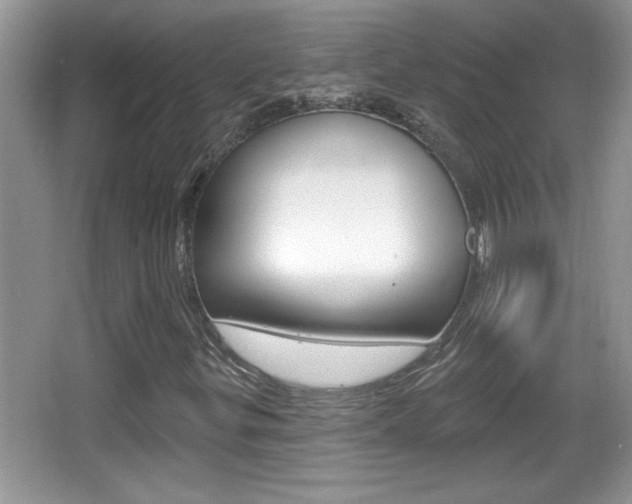 X0000065991299200603030951