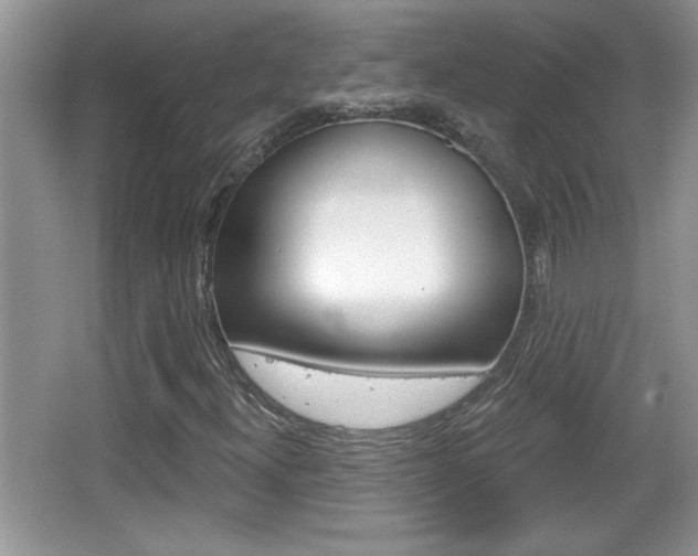 X0000065991300200603030951