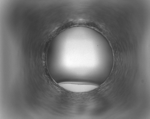 X0000065991301200603030951