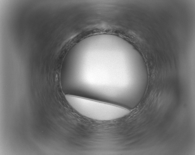 X0000065991302200603030951
