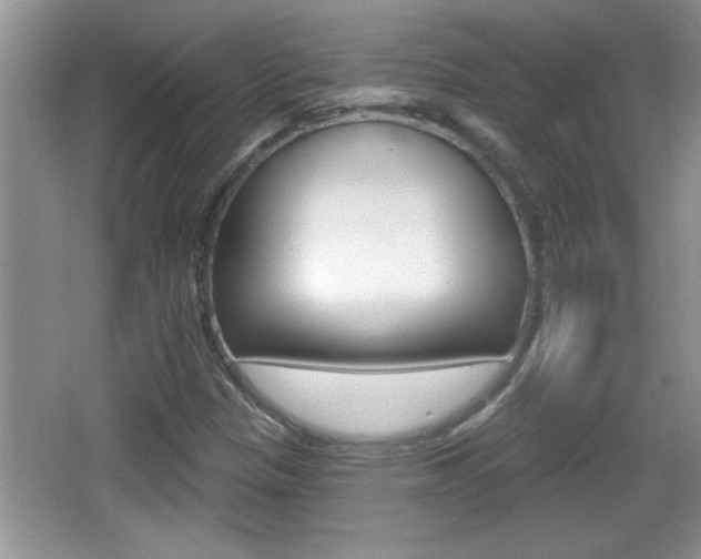 X0000065991305200603030951