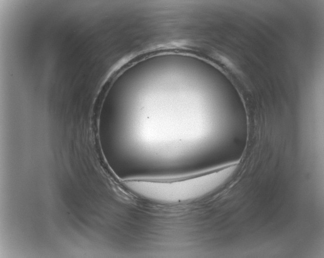 X0000065991308200603030952