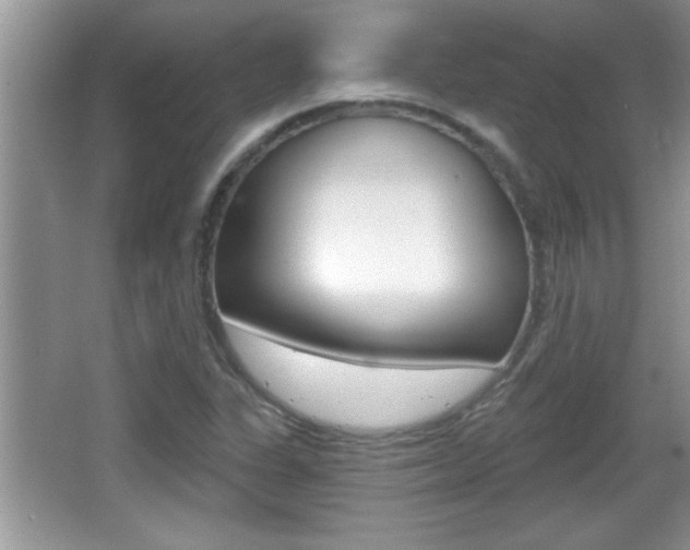 X0000065991311200603030952