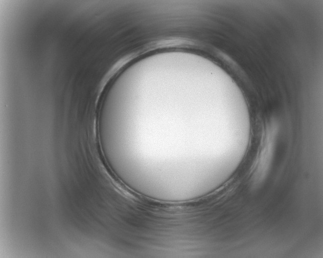 X0000065991322200603030952