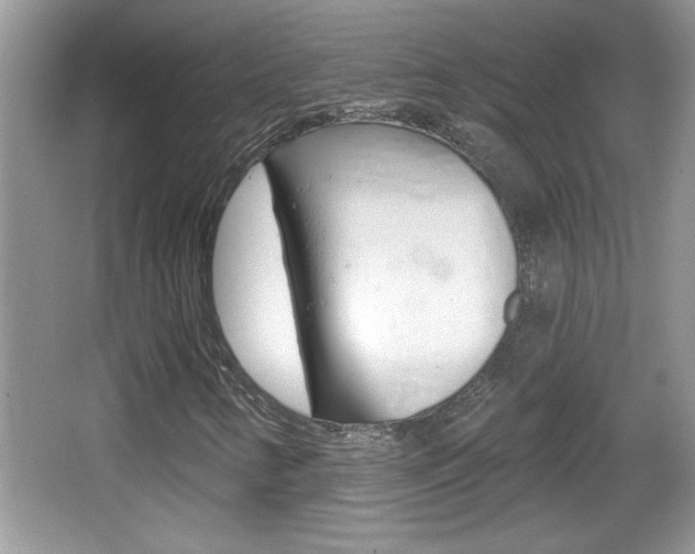 X0000065991346200603030951