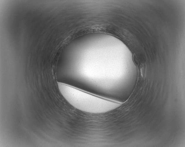 X0000065991347200603030951