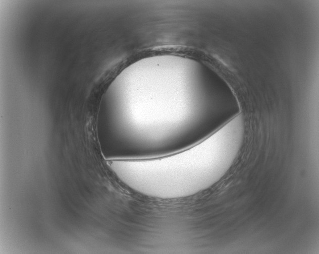 X0000065991351200603030951