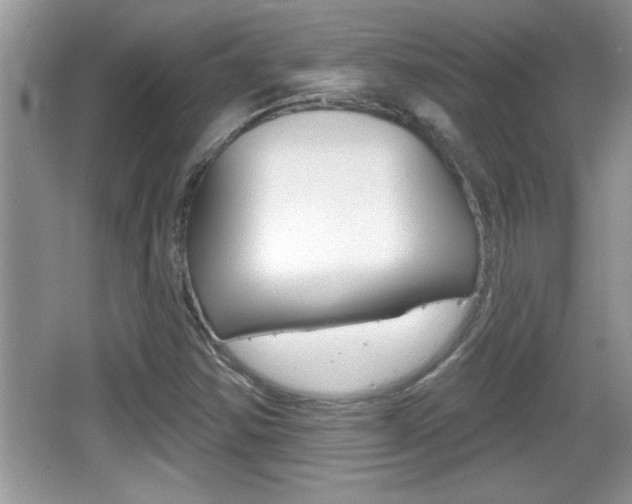 X0000065991354200603030951