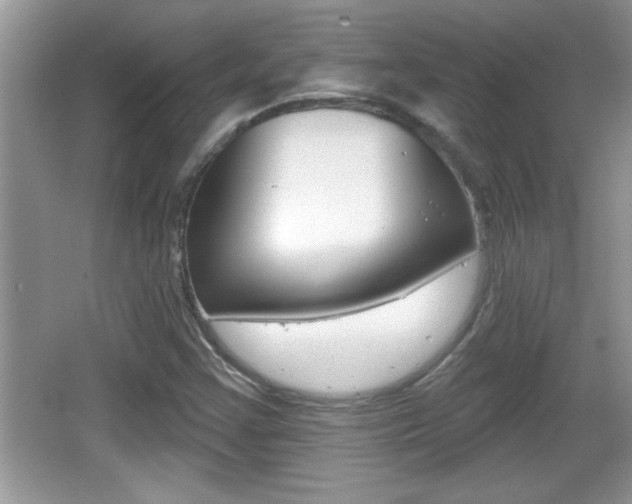 X0000065991355200603030951