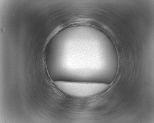 X0000065991362200603030951
