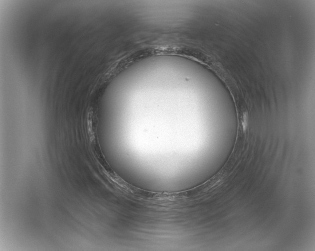 X0000065991396200603030950