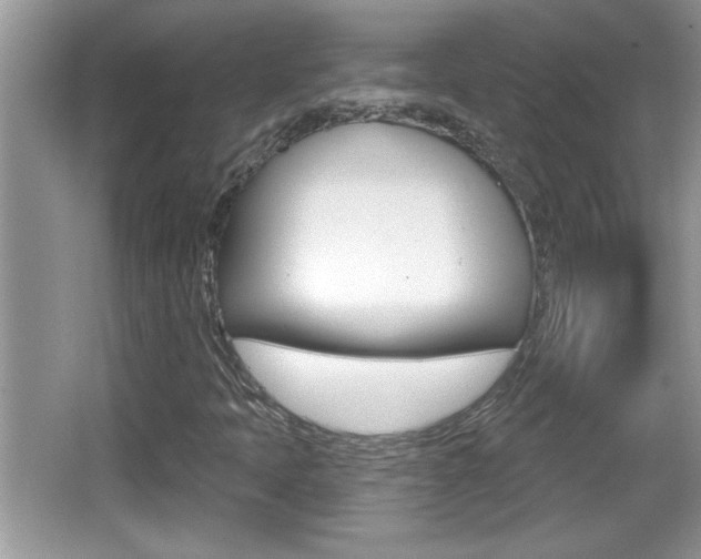 X0000065991397200603030950
