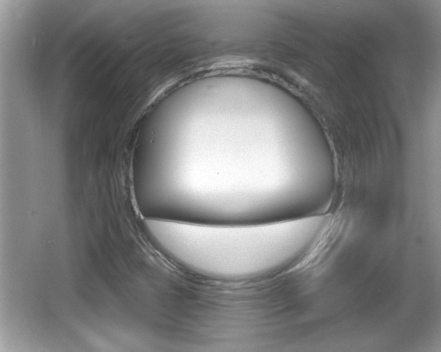 X0000065991401200603030950