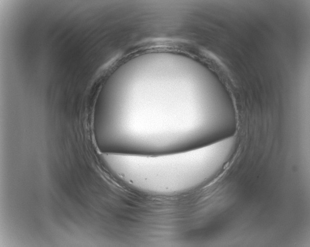 X0000065991403200603030950