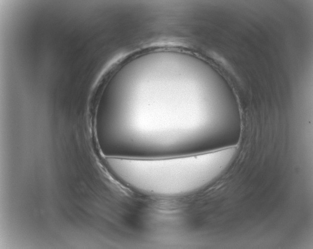 X0000065991408200603030950
