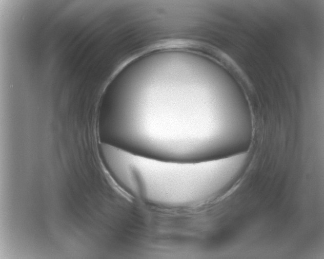 X0000065991417200603030950