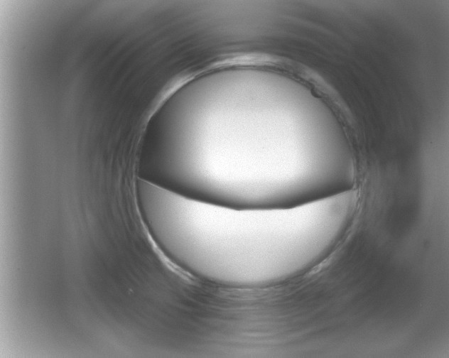 X0000065991425200603030950