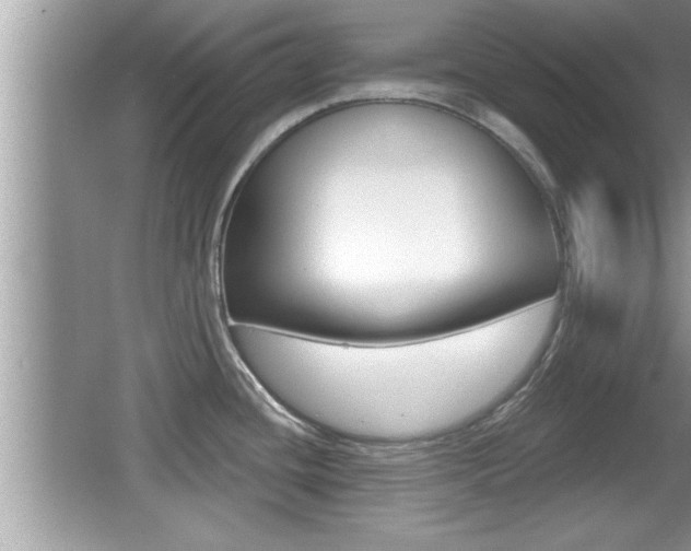X0000065991436200603030950