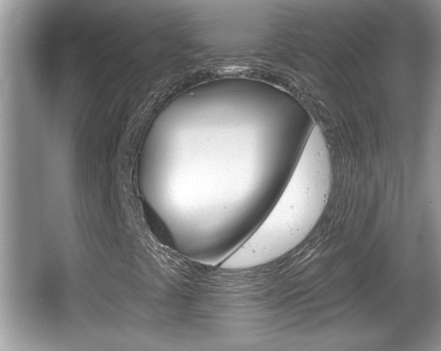 X0000065991441200603030950