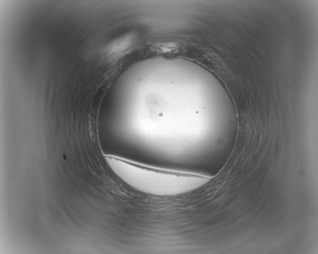 X0000065991442200603030950