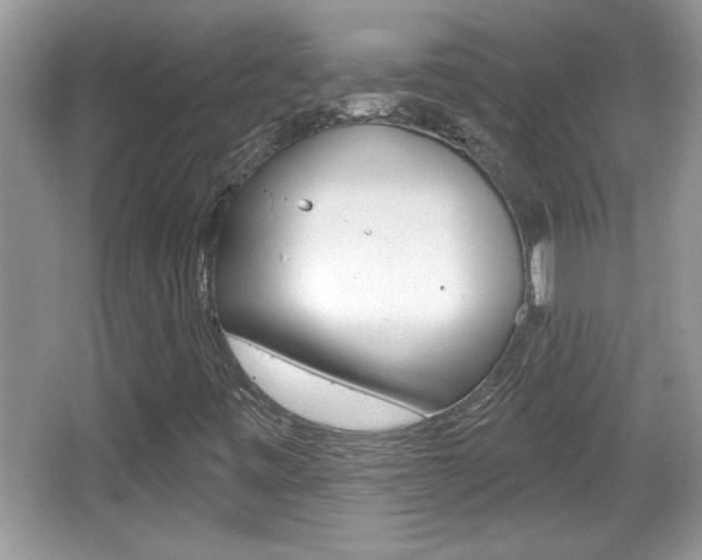 X0000065991443200603030950