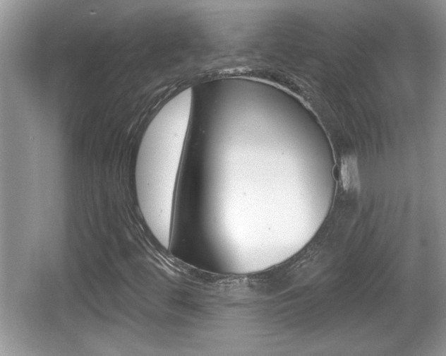 X0000065991444200603030950
