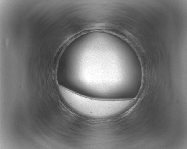 X0000065991449200603030950